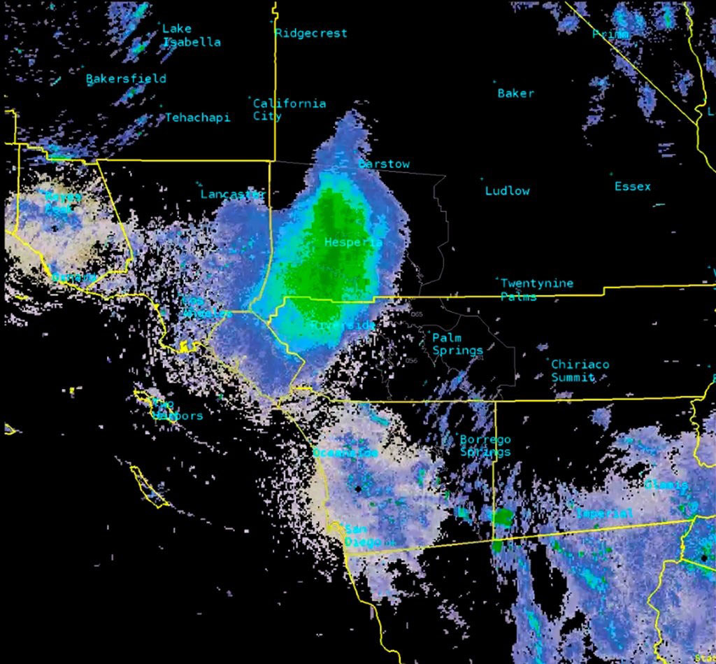 swarm of ladybugs on Doppler