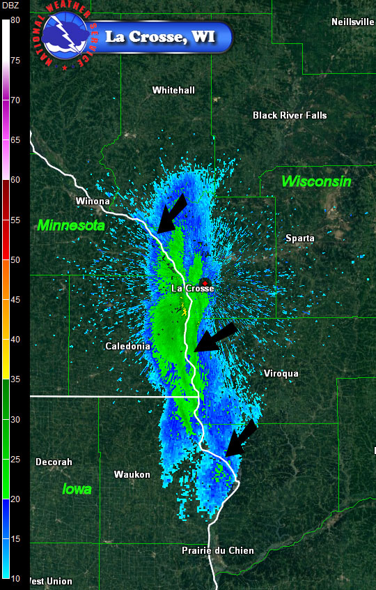 radar image tracking a mayfly hatch event