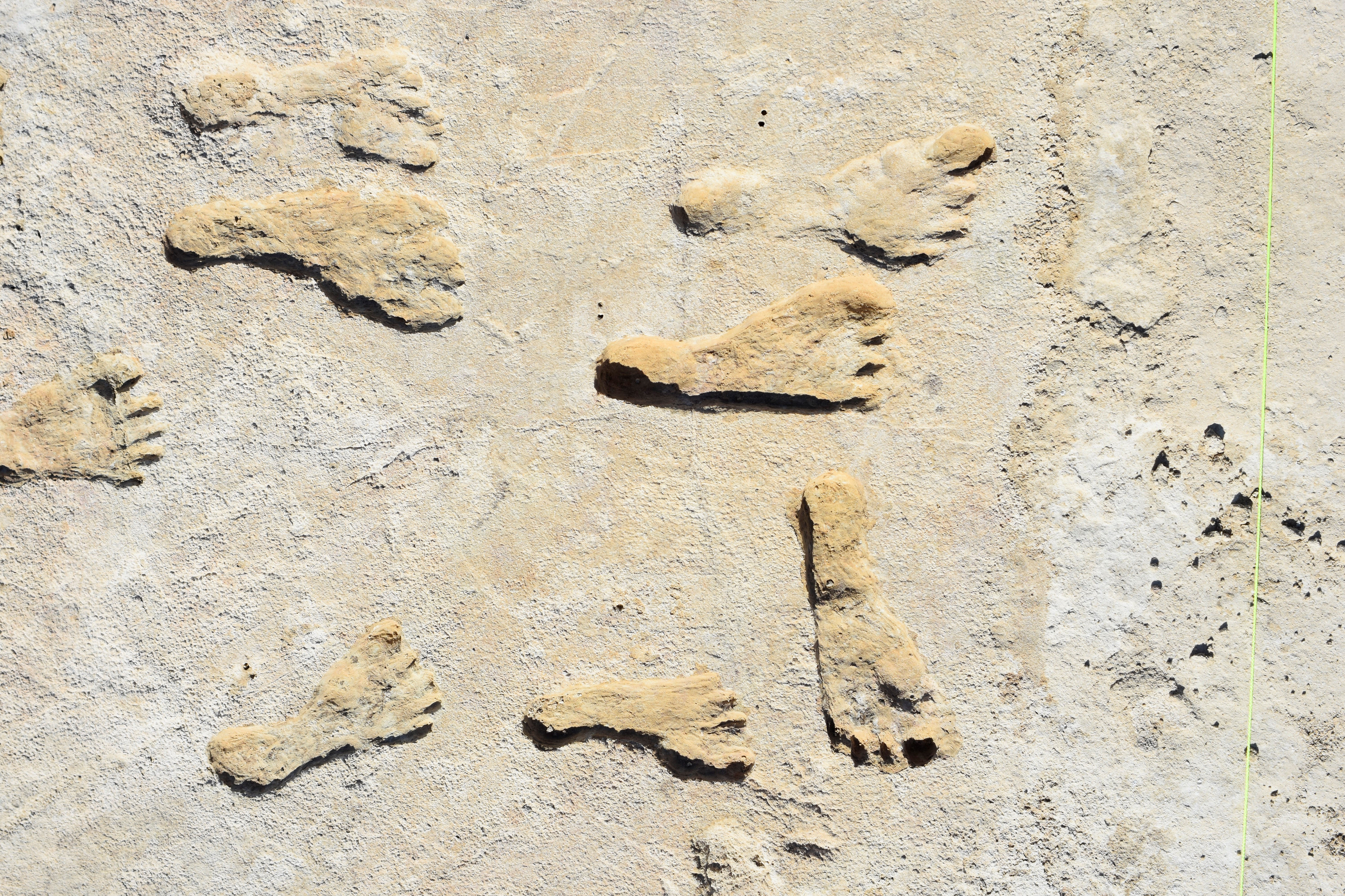20,000 year old footprints