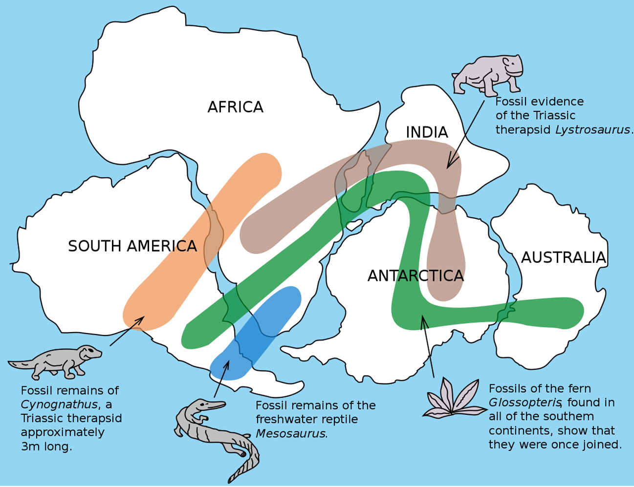 286_3 fossil map