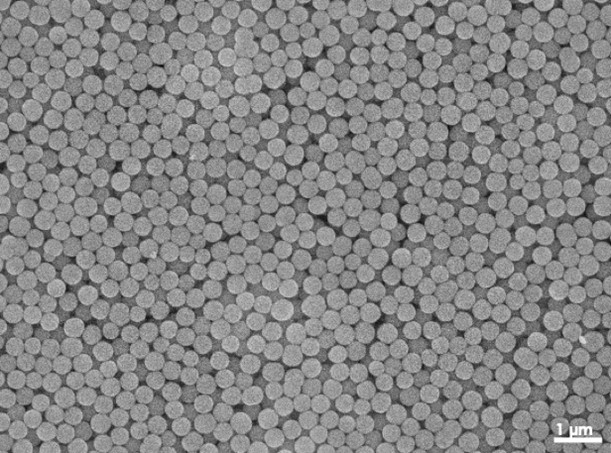 Scanning Electron Microscope image