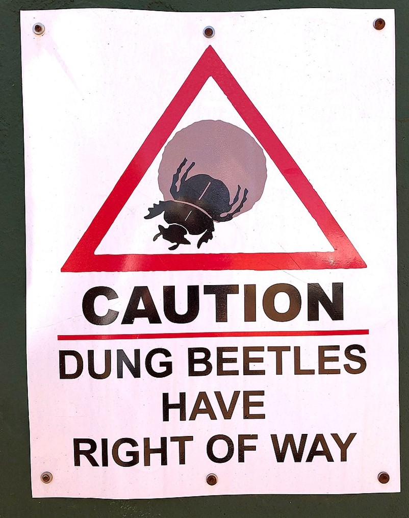 Dung Beetles caution sign