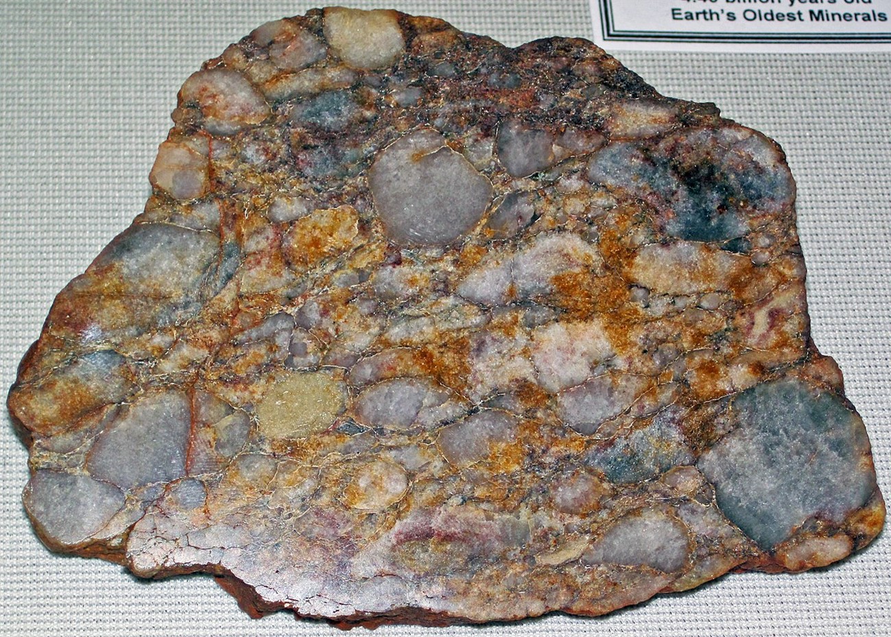 specimen of Archaean quartz-pebble metaconglomerate