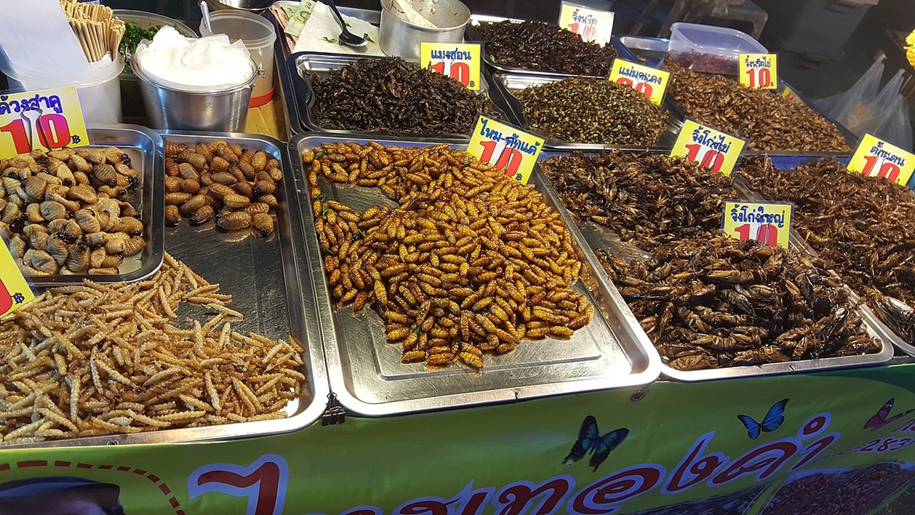 Roasted insects sold in a food stall