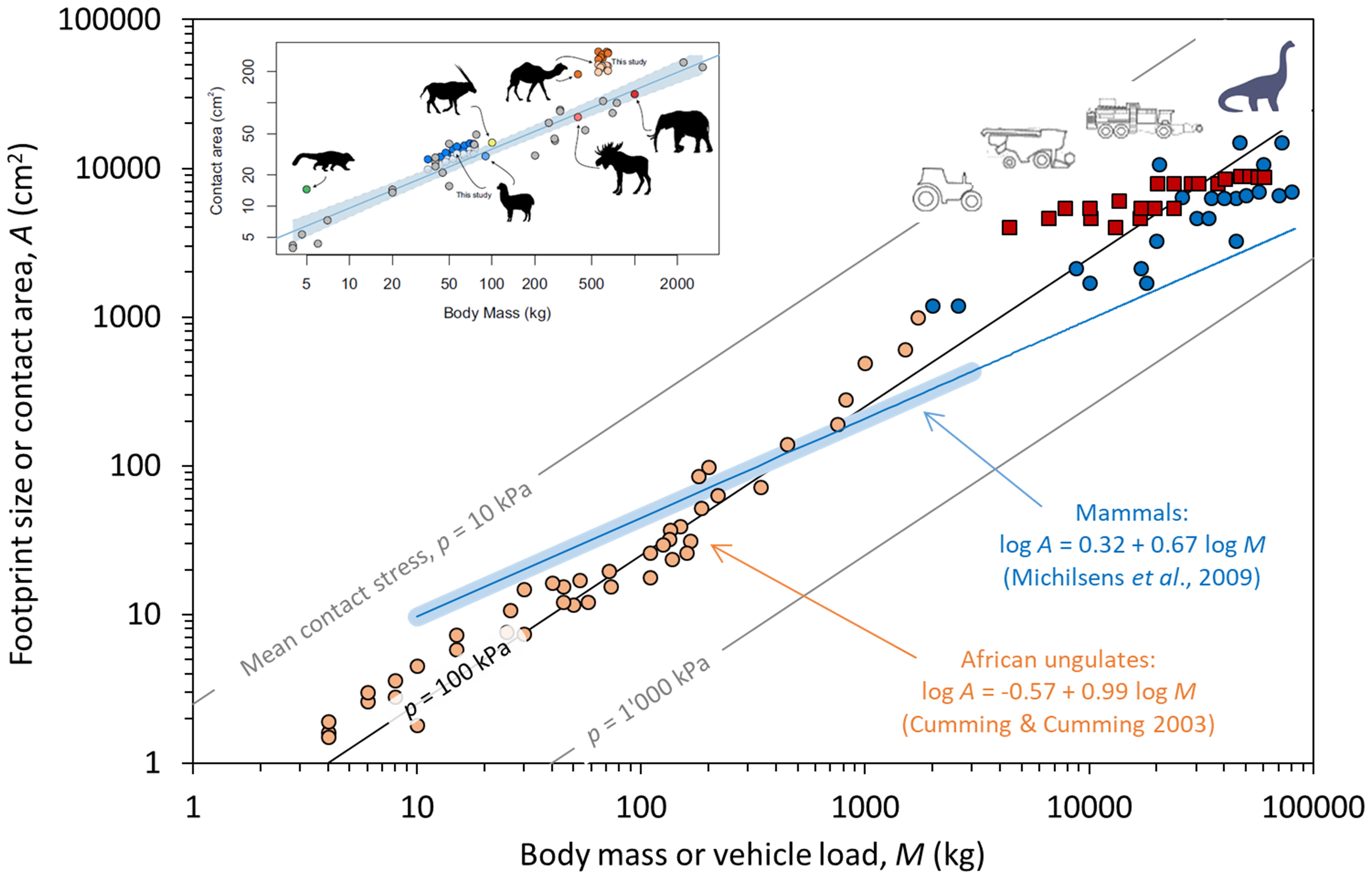 Diagram, Scaling relationship between footprint size and body or vehicle mass