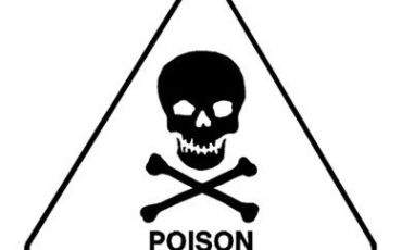 international pictogram for poisonous substances