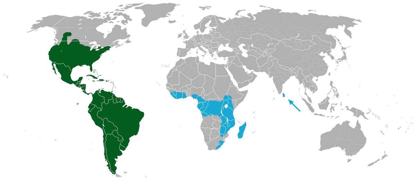 Global distribution of all cactus species