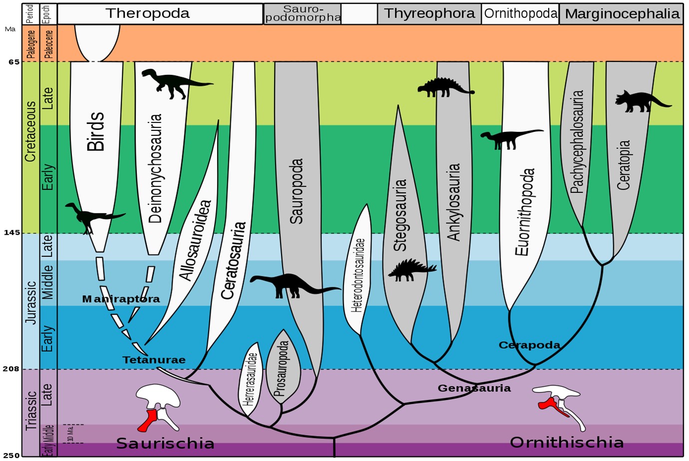 Evolution of dinosaurs chart