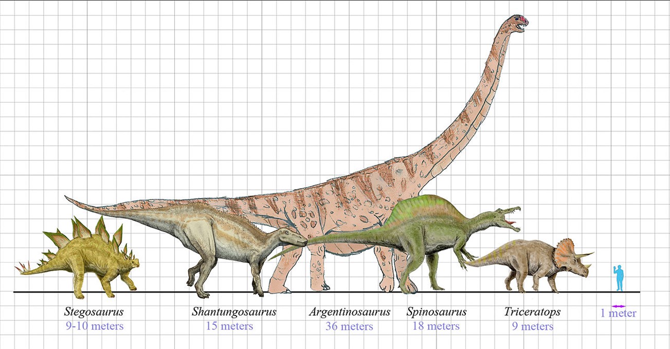 Comparison of dinosaur sizes