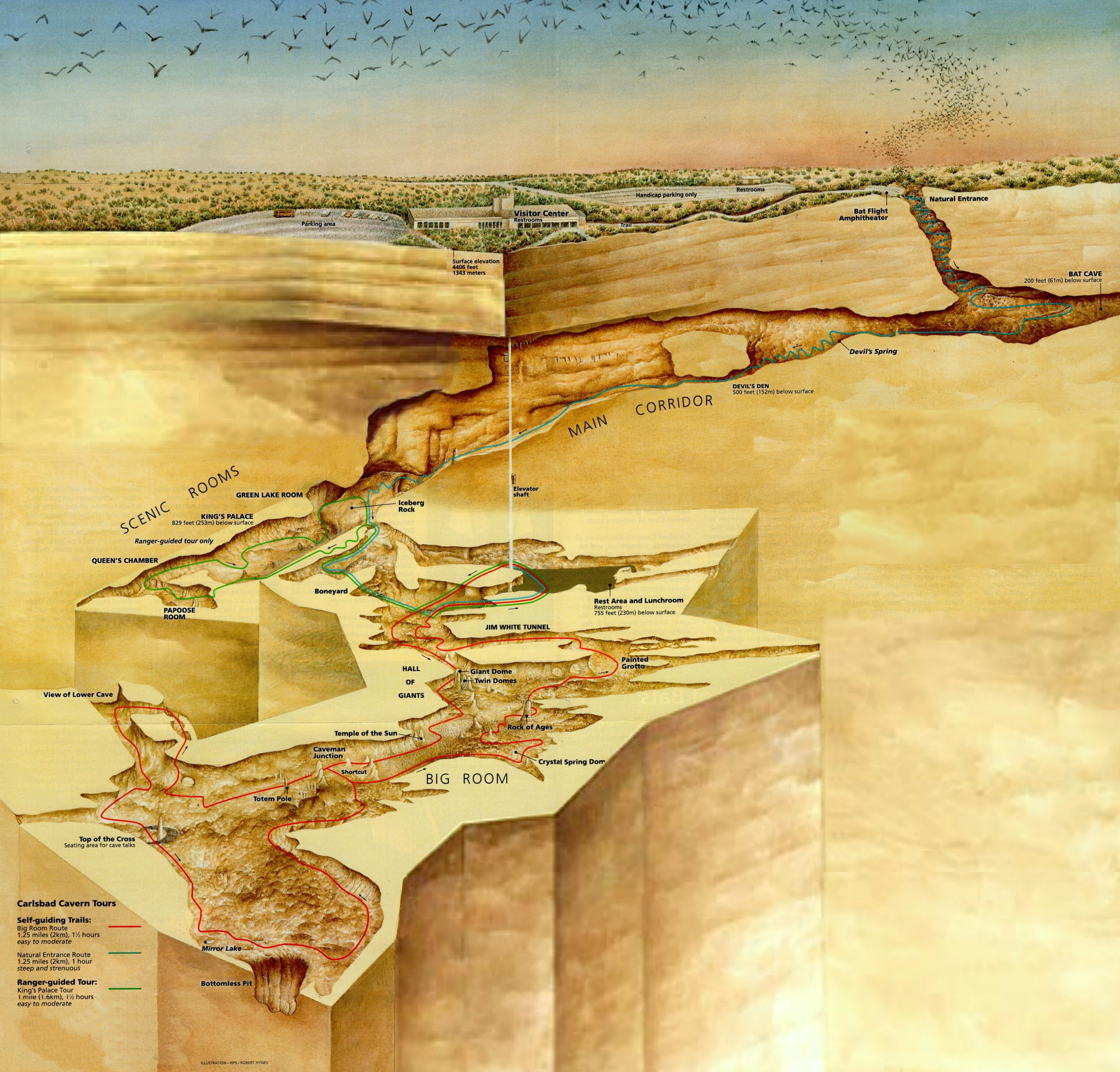 Three-dimensional representation of Carlsbad Cave.