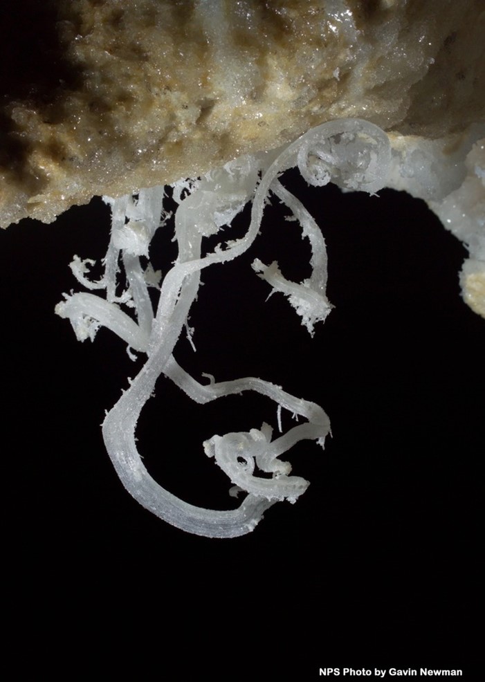 A gypsum flower