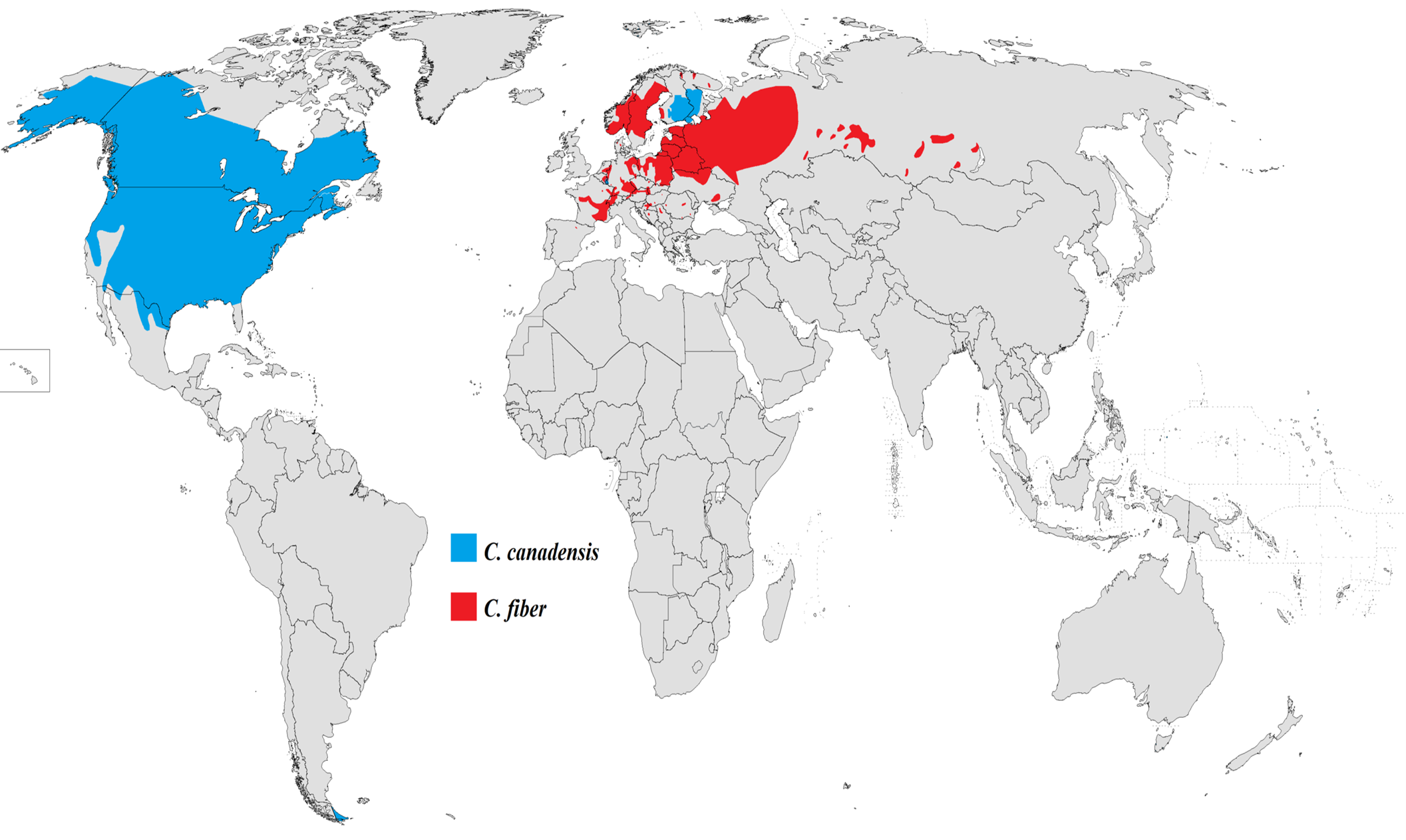The range of the two living beaver species.