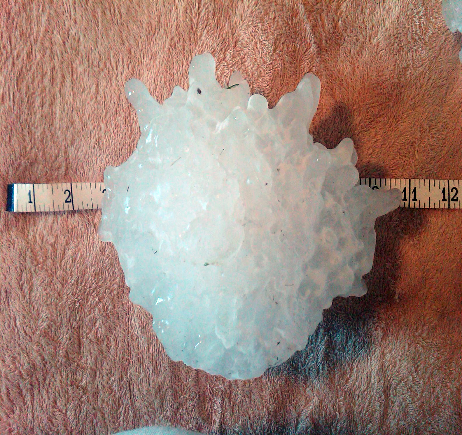 A record-setting hailstone