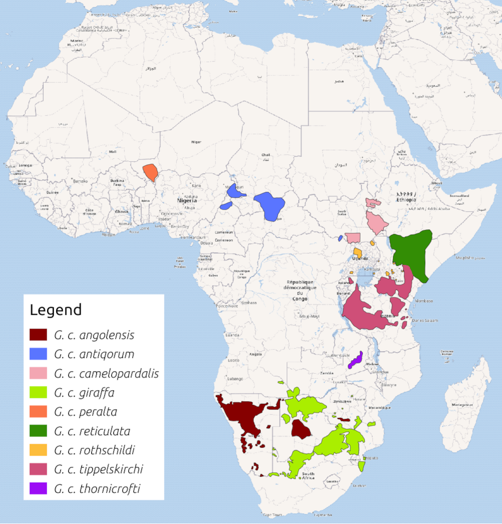 Distribution of giraffes in 2018.