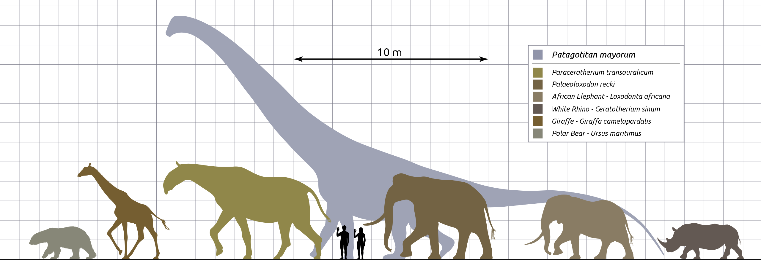 Animal size chart