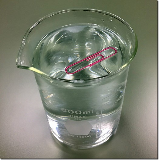 Paper clips floating on water