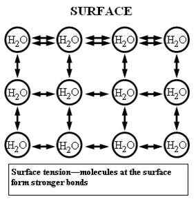 Water molecule diagram