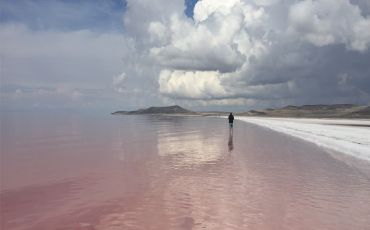 Algae tint the water pink in Utah’s Great Salt Lake