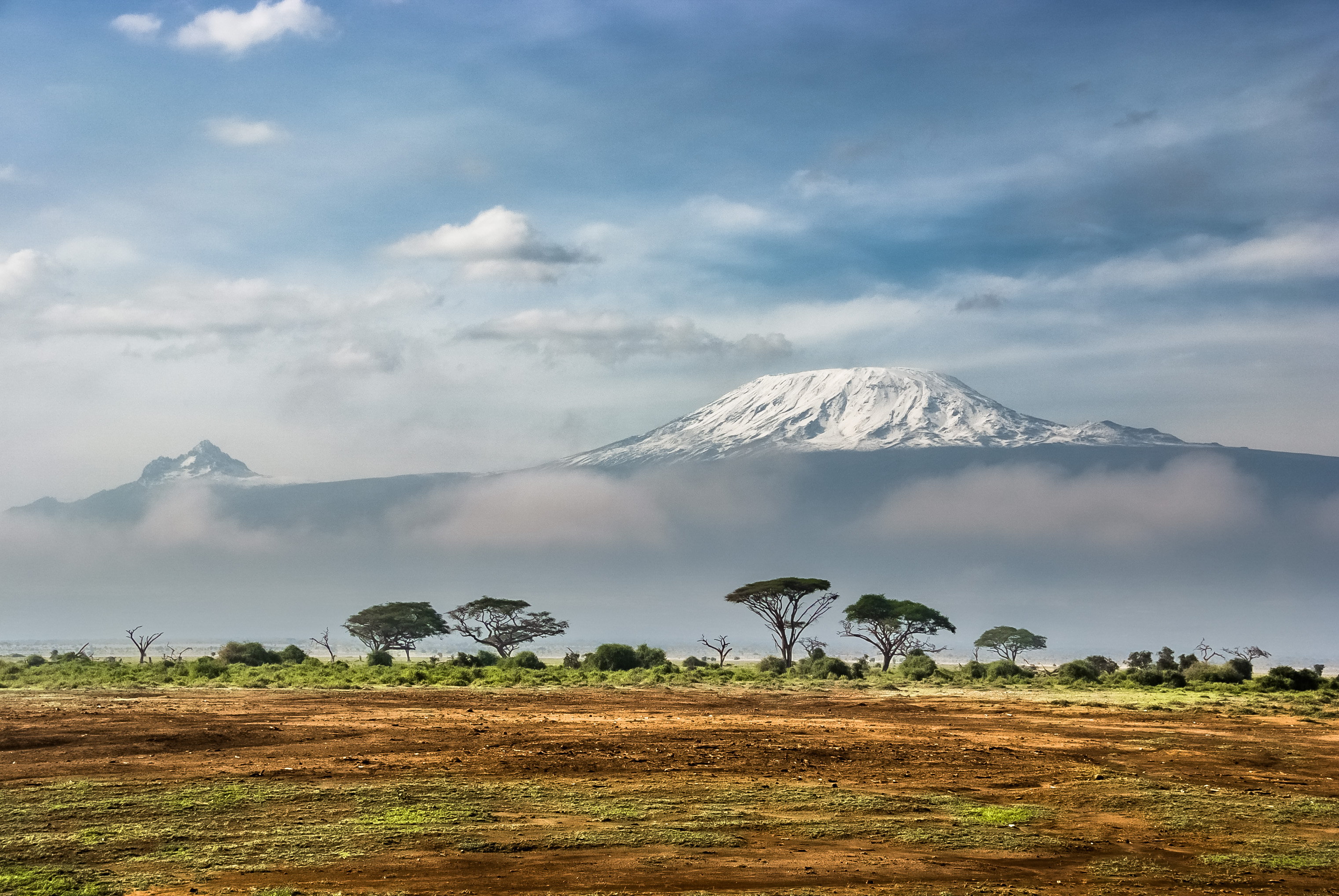 View of Kilimanjaro