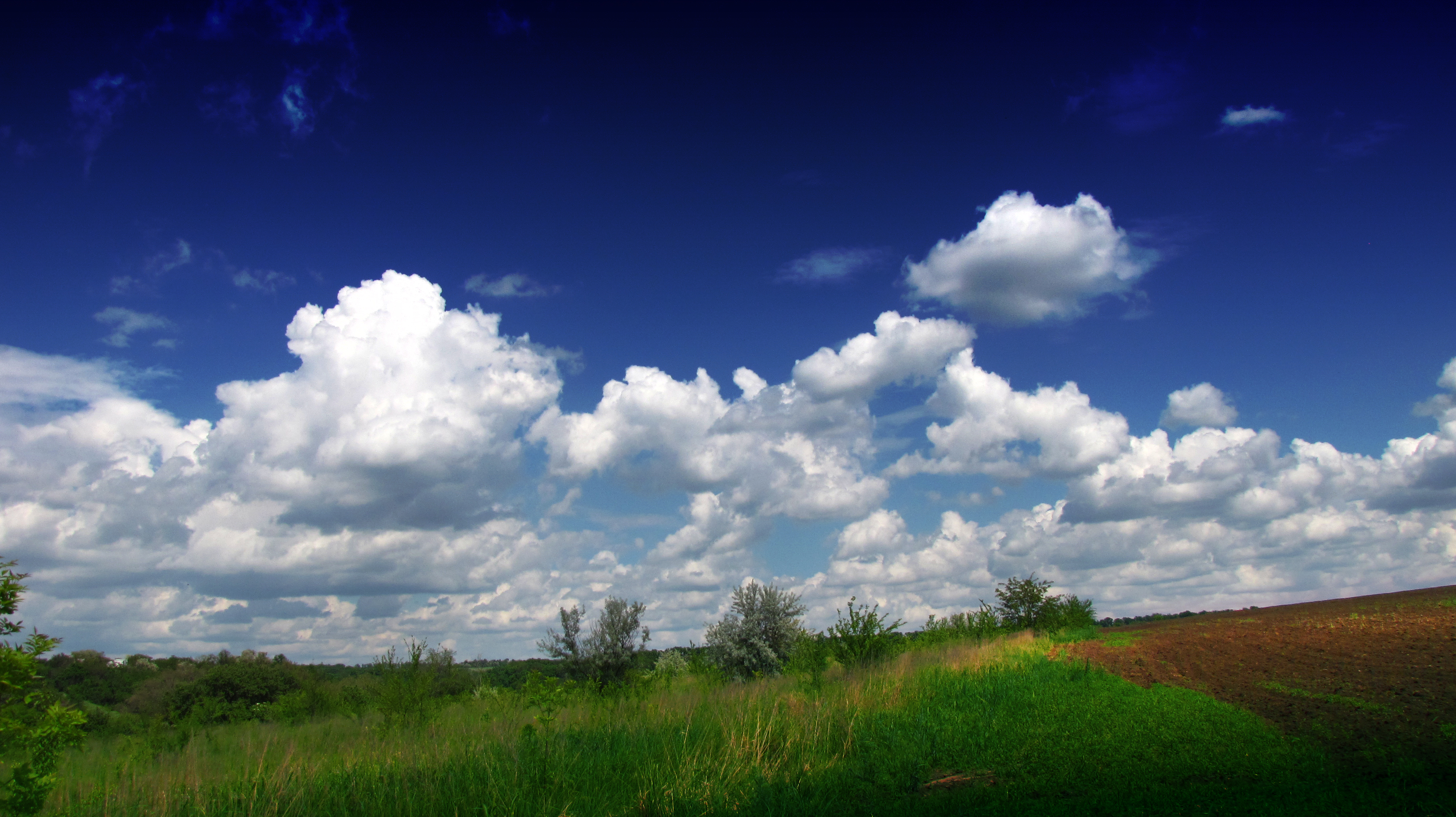 Flat-based cumulus clouds