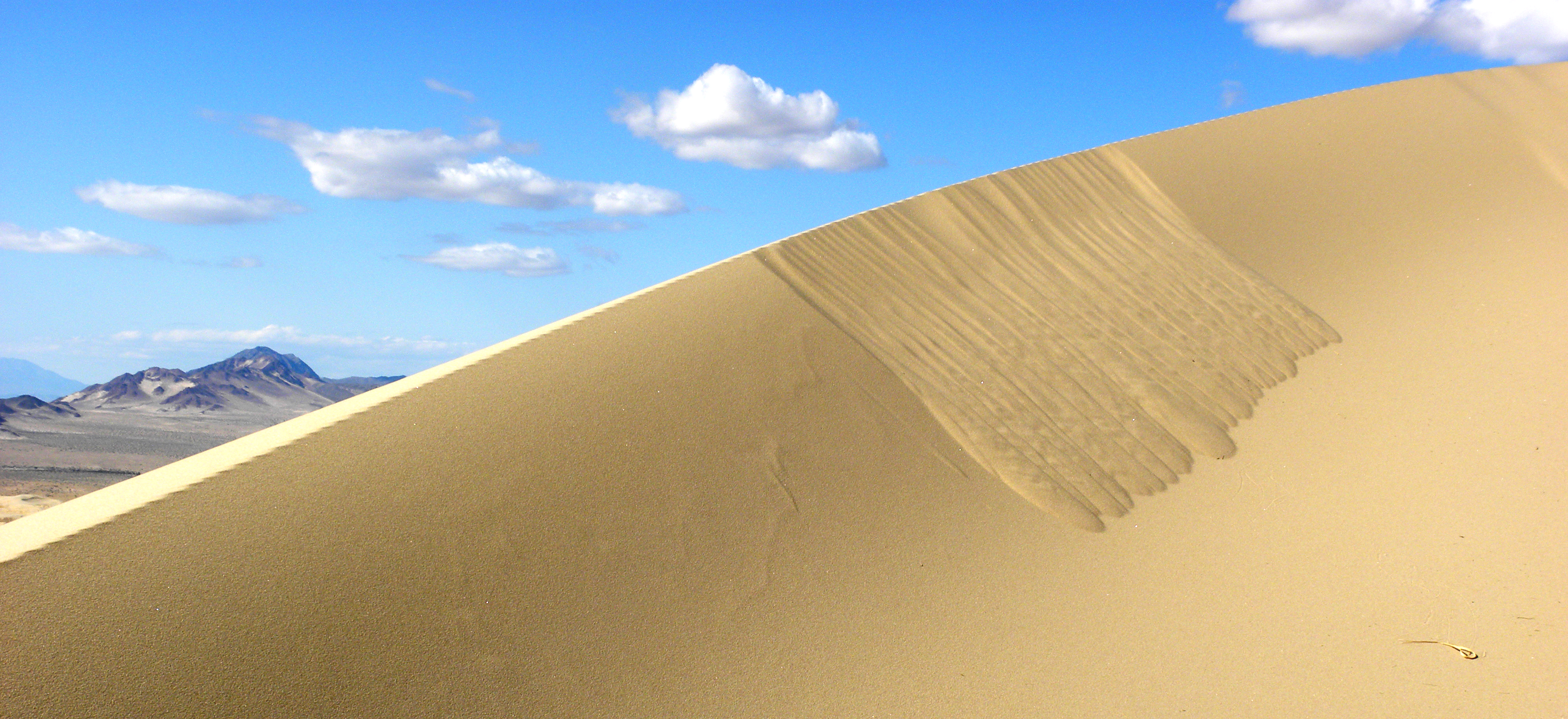 Avalanche deposits on a crest of the singing Kelso Dunes