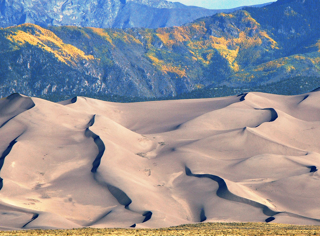 The beautiful curving dunes of Great Sand Dunes National Park