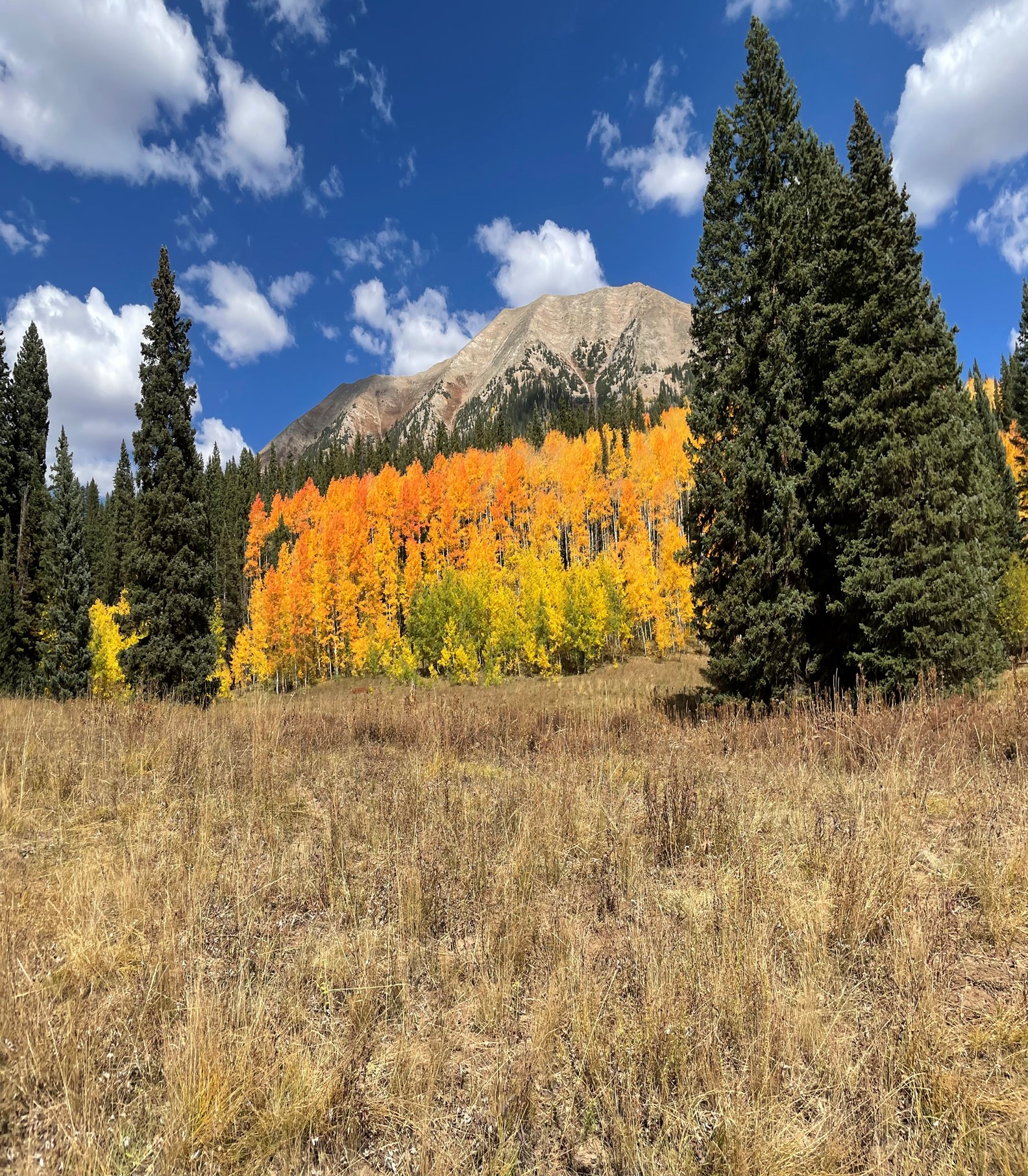 The base of Colorado’s Gothic Mountain