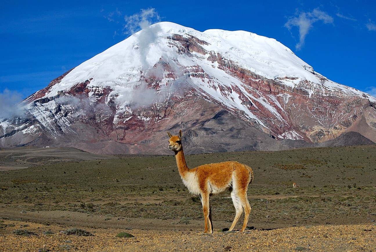 The summit of Ecuador’s Chimborazo