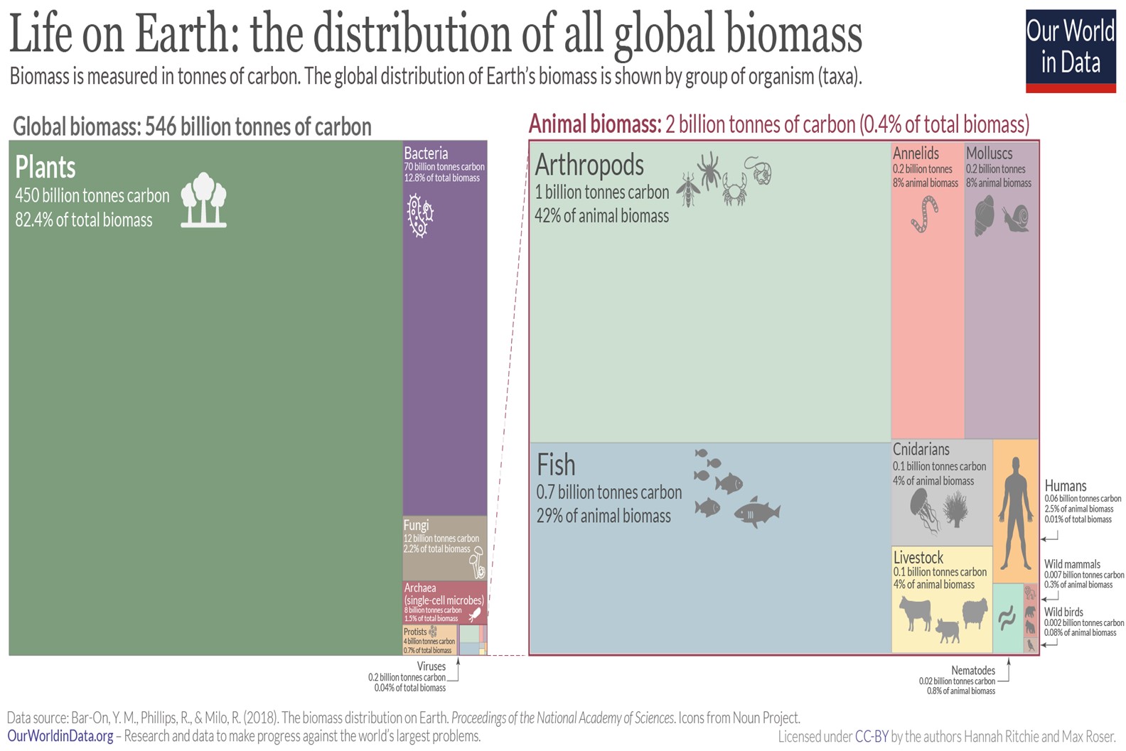 Global biomass vs. Animal biomass
