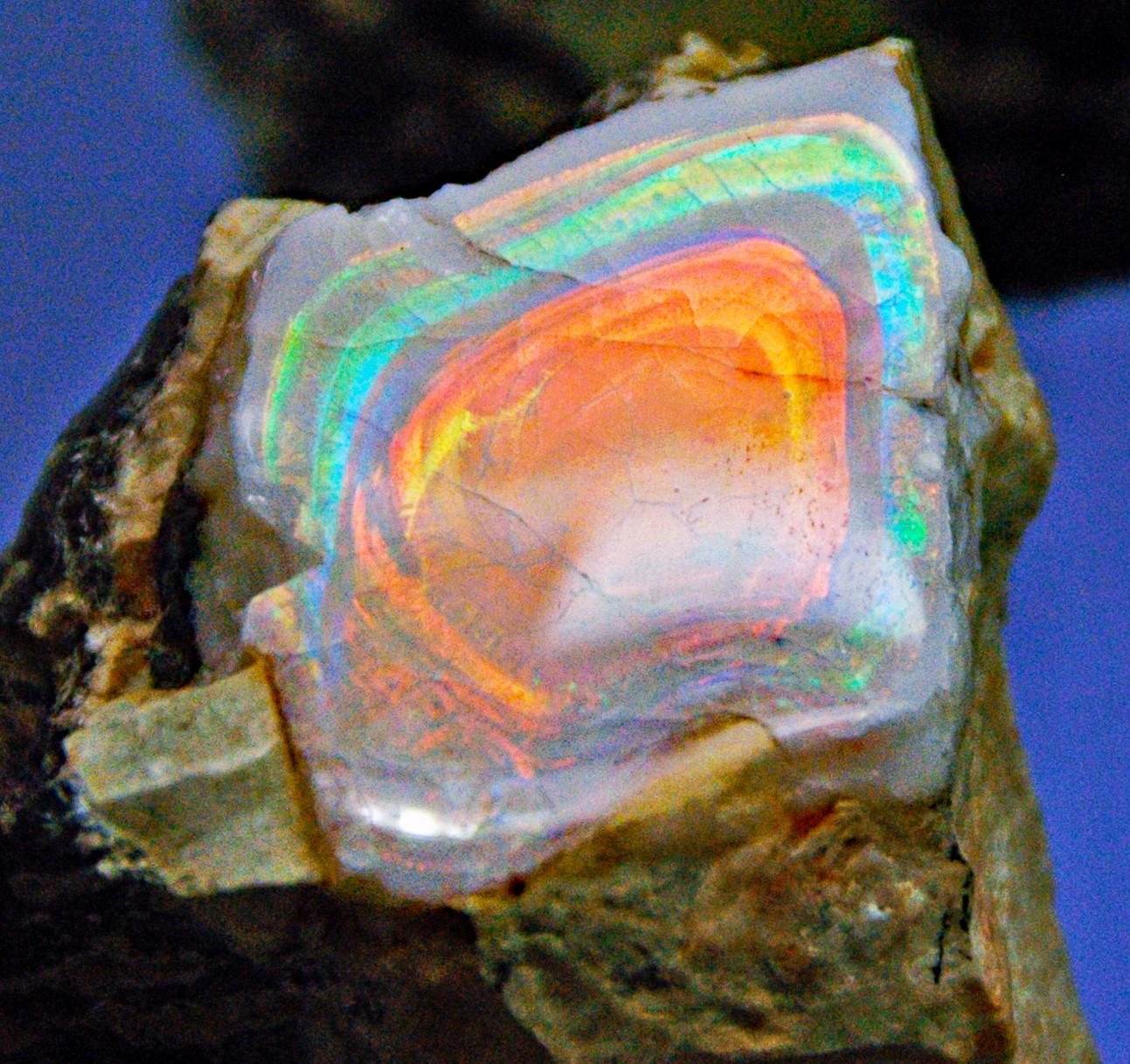 A precious opal