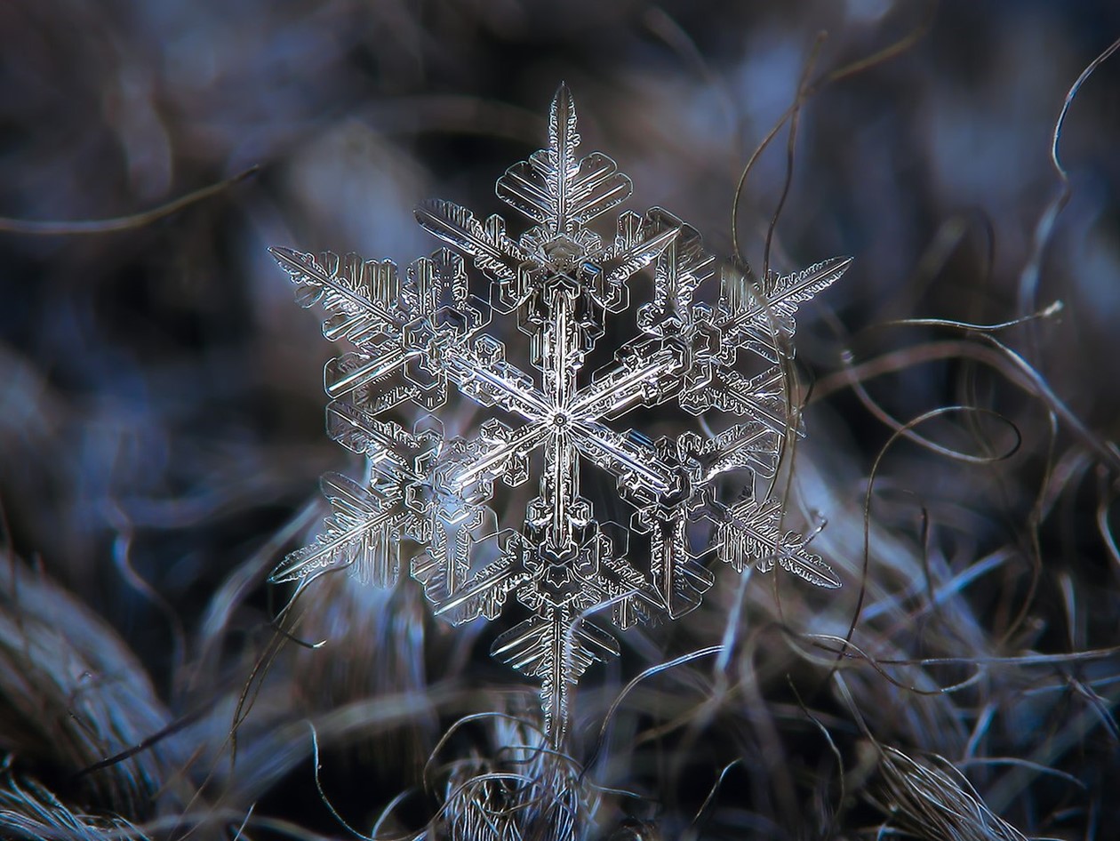 Snowflakes forms