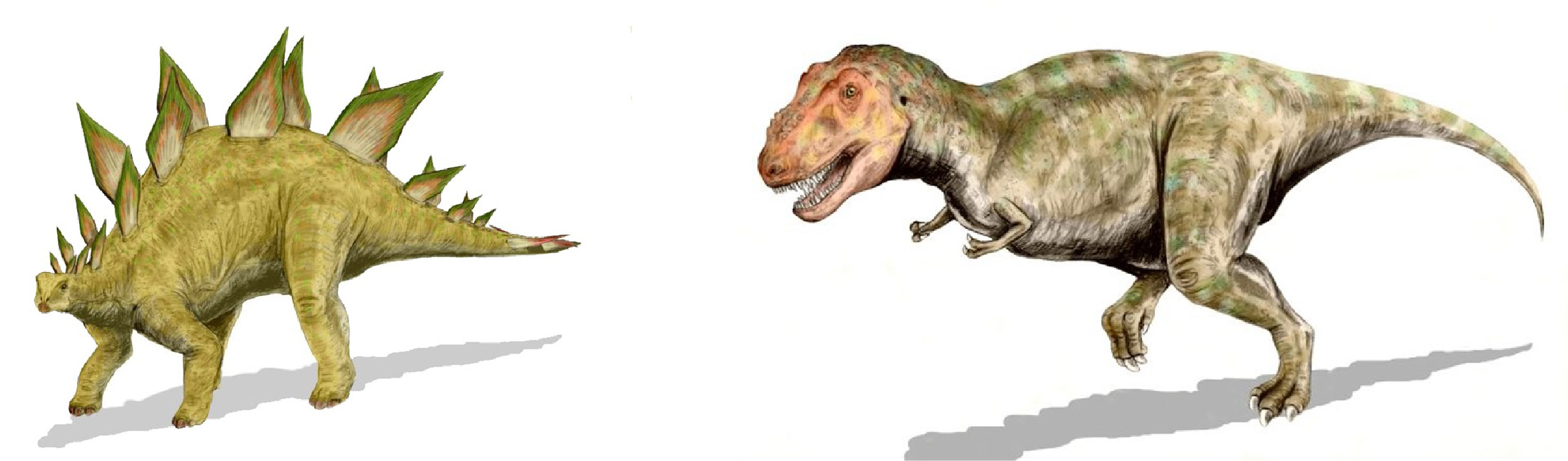 Dinosaurs