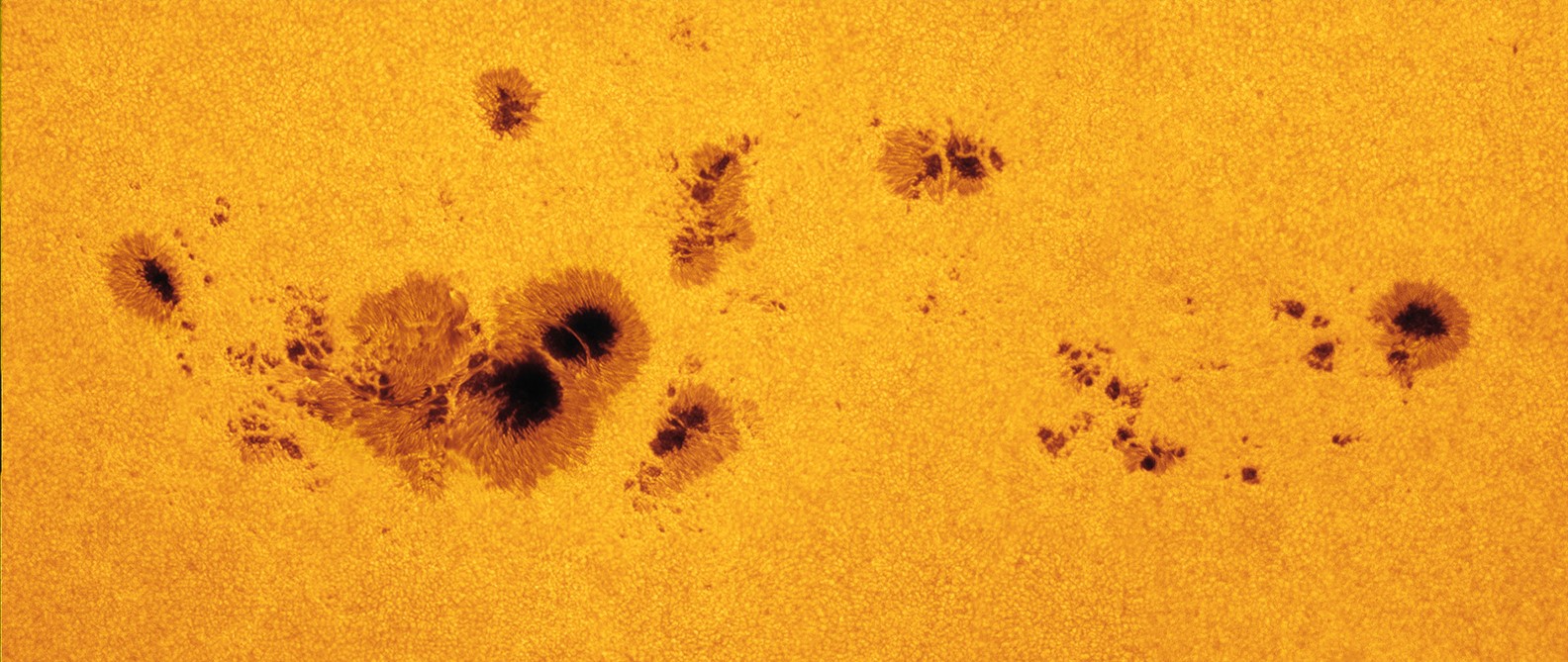 A group of sunspots