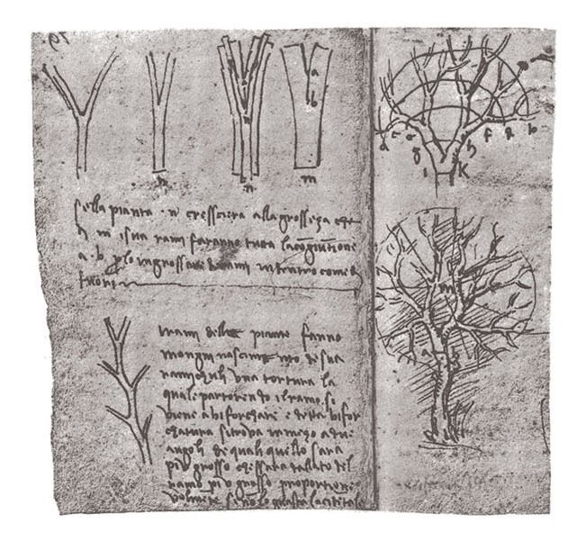 Sketch from one of Leonardo da Vinci’s notebooks