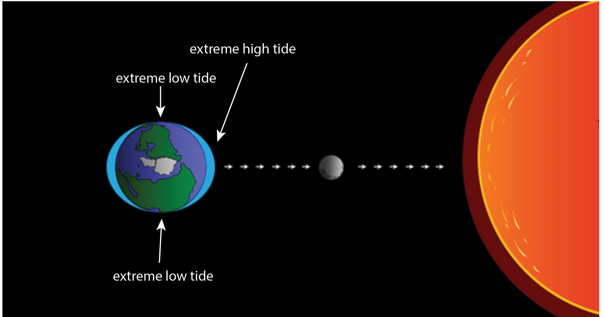 Schematic showing how tides are produced