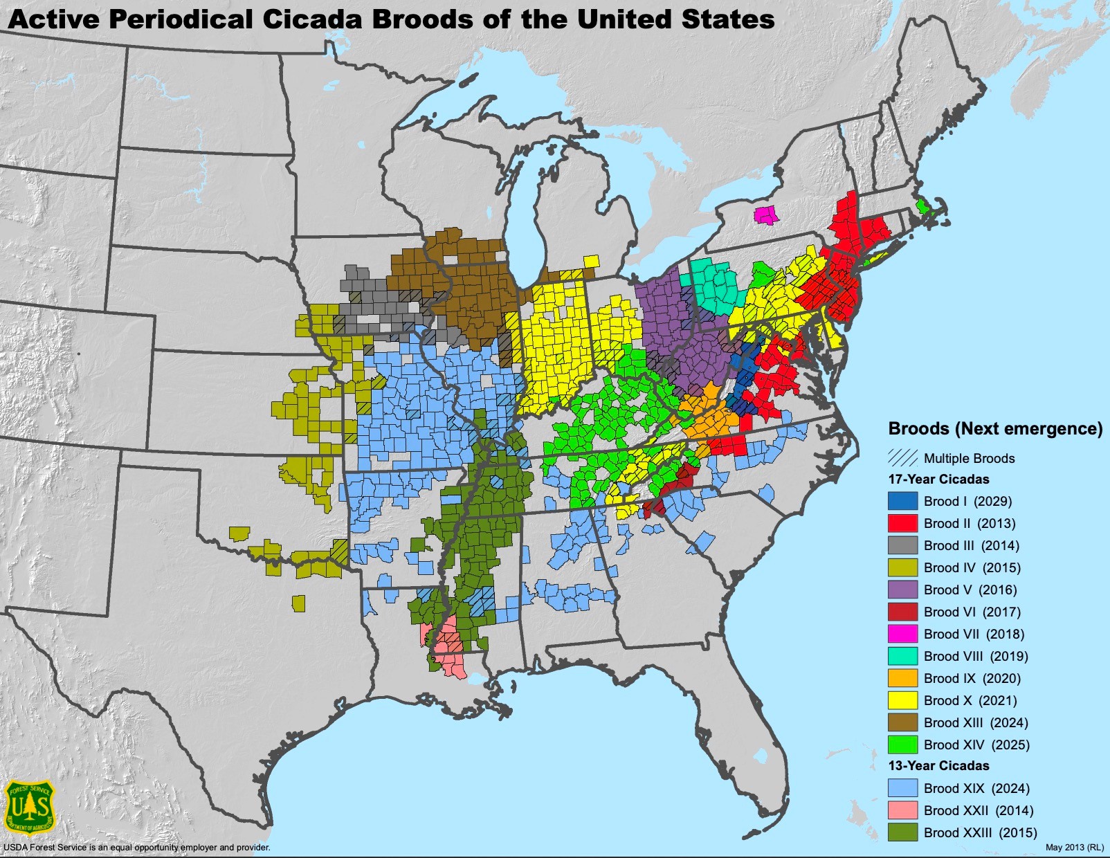 Map of active periodical cicada broods of the United States.