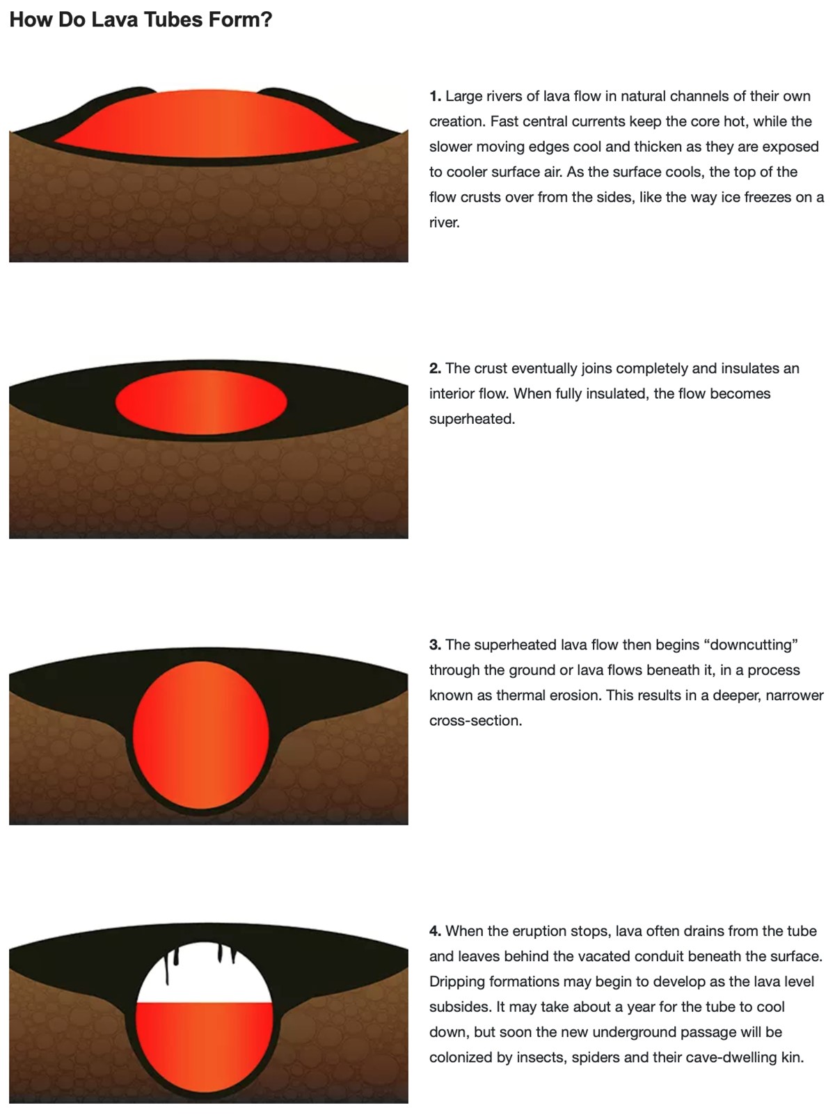 Living In Lava Tubes EarthDate Living In Lava Tubes EarthDate