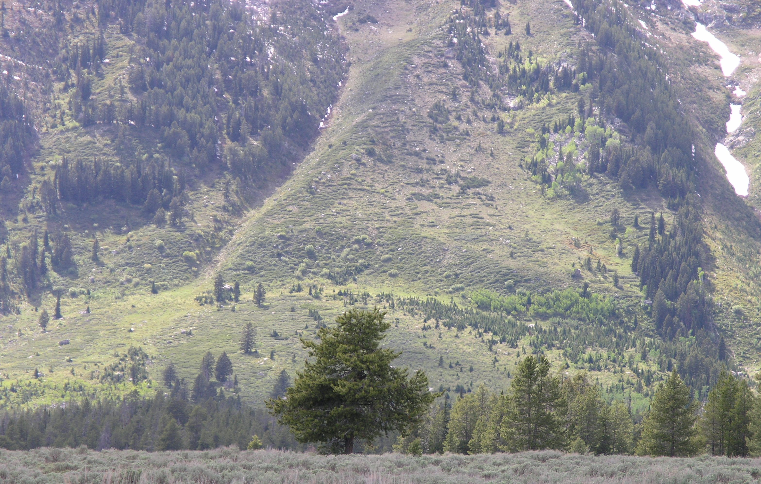 This near-vertical scarp along the Teton Fault is located on the lower face of Rockchuck Peak to the west of String Lake, Grand Teton National Park, Wyoming, USA