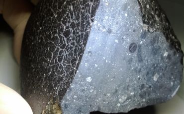 A Martian meteorite