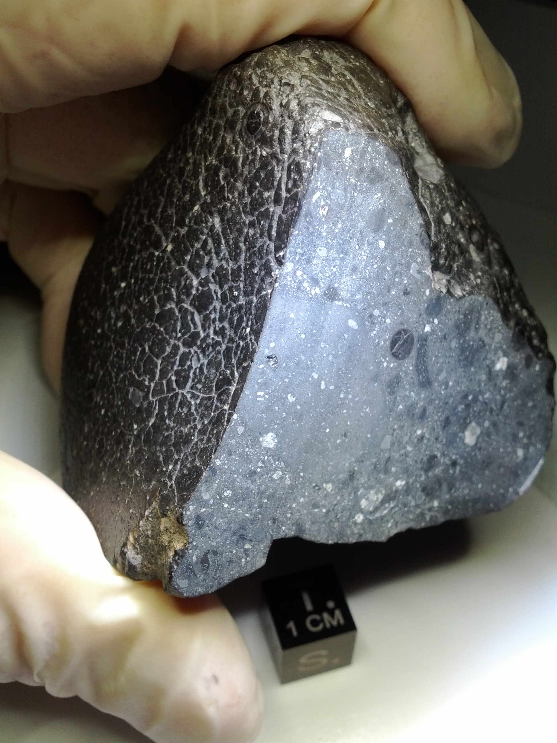 "Black Beauty," the Martian meteorite