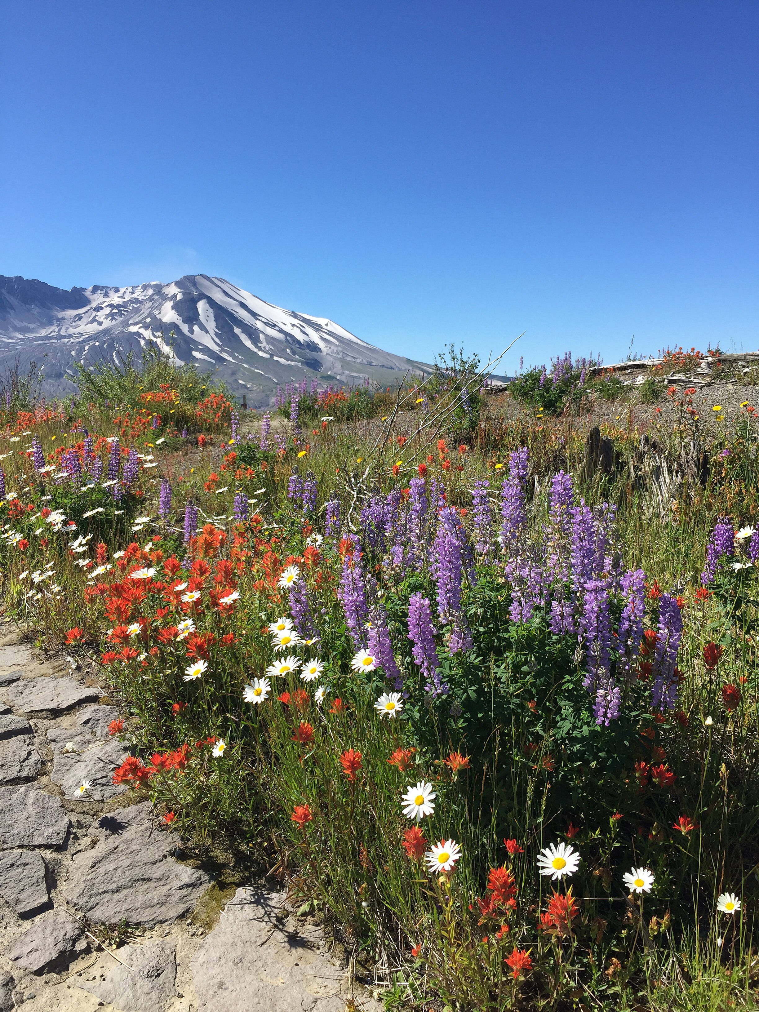 Mount St. Helens is still a dominant presence in the Cascade Range.