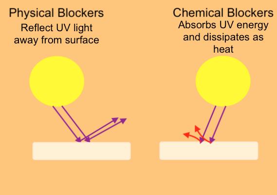 Physical and chemical sunscreens use different mechanisms to protect skin.