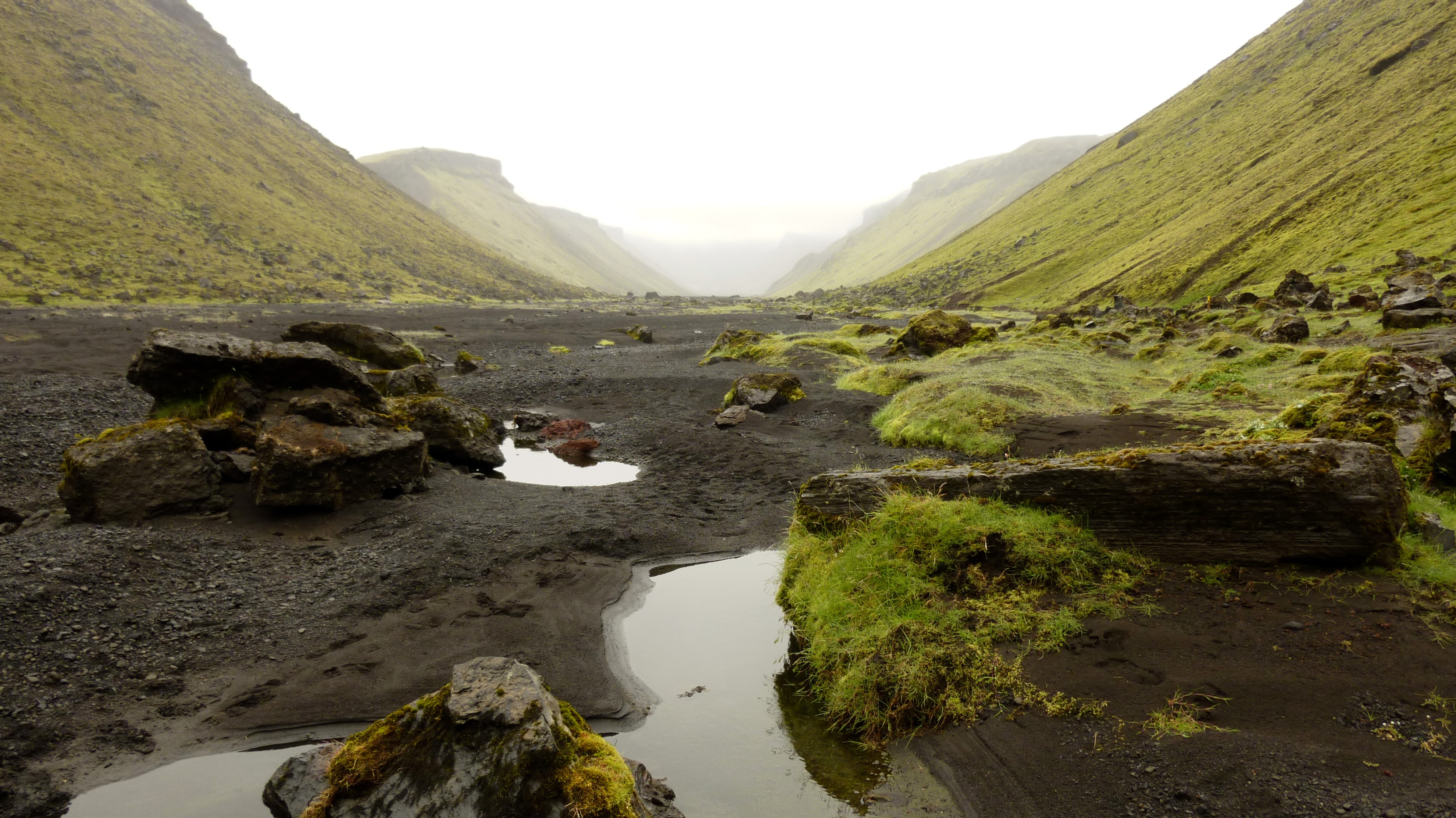 Lichens and algae are the first organisms to inhabit a barren landscape after an event like the eruption of the Eldgjá volcano in Iceland.