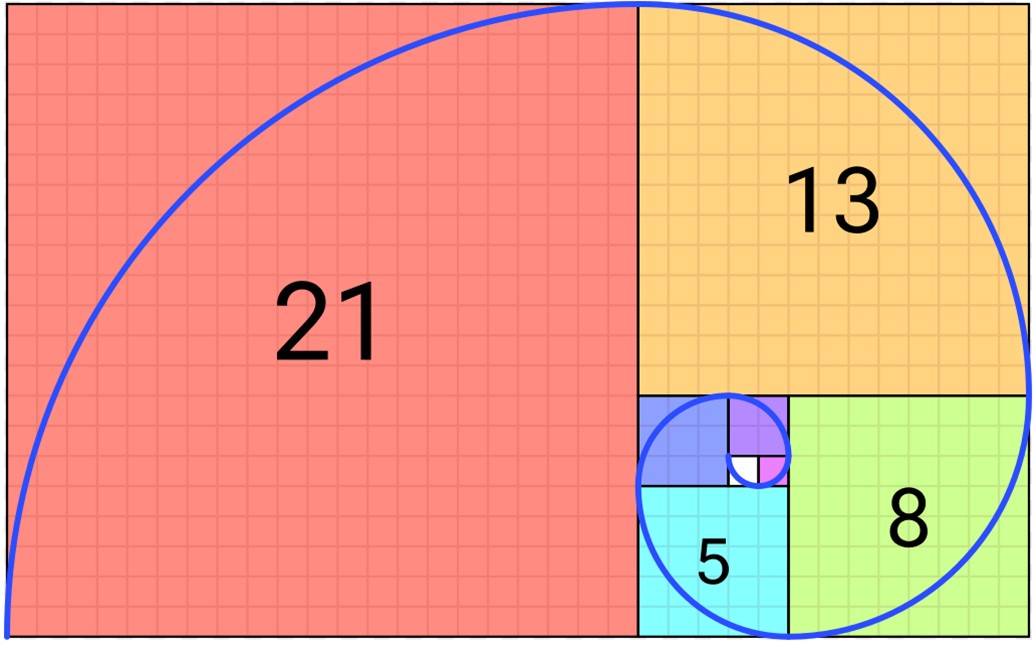 Count the number of blocks along one of the lined edges of each colored shape and verify that the increasing radius of each arc is a Fibonacci number.