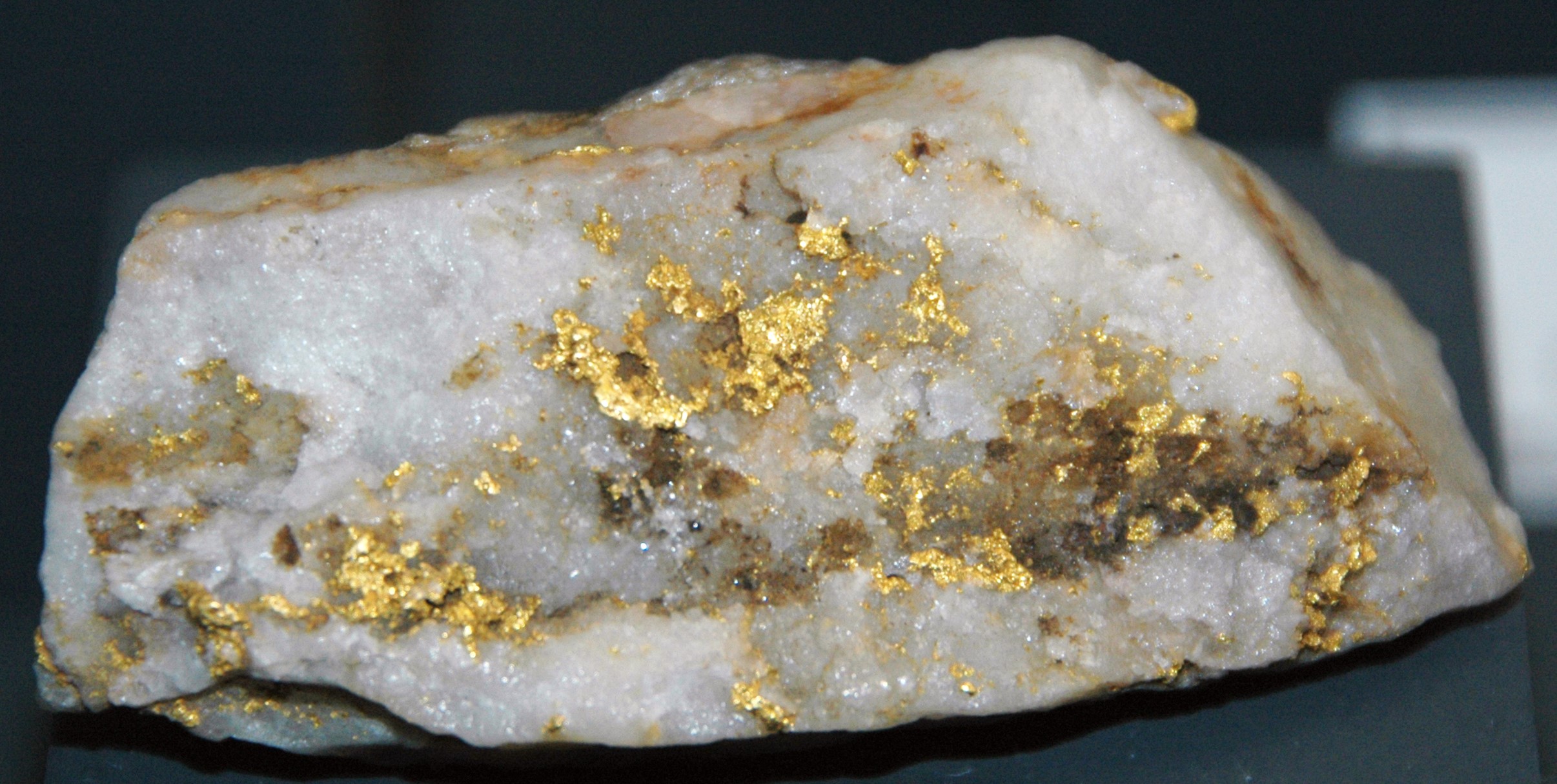 A sample of gold-quartz hydrothermal vein from the Maryland Mine at Potomac, Maryland, USA
