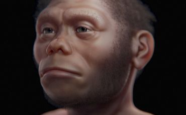 A facial approximation of Homo floresiensis