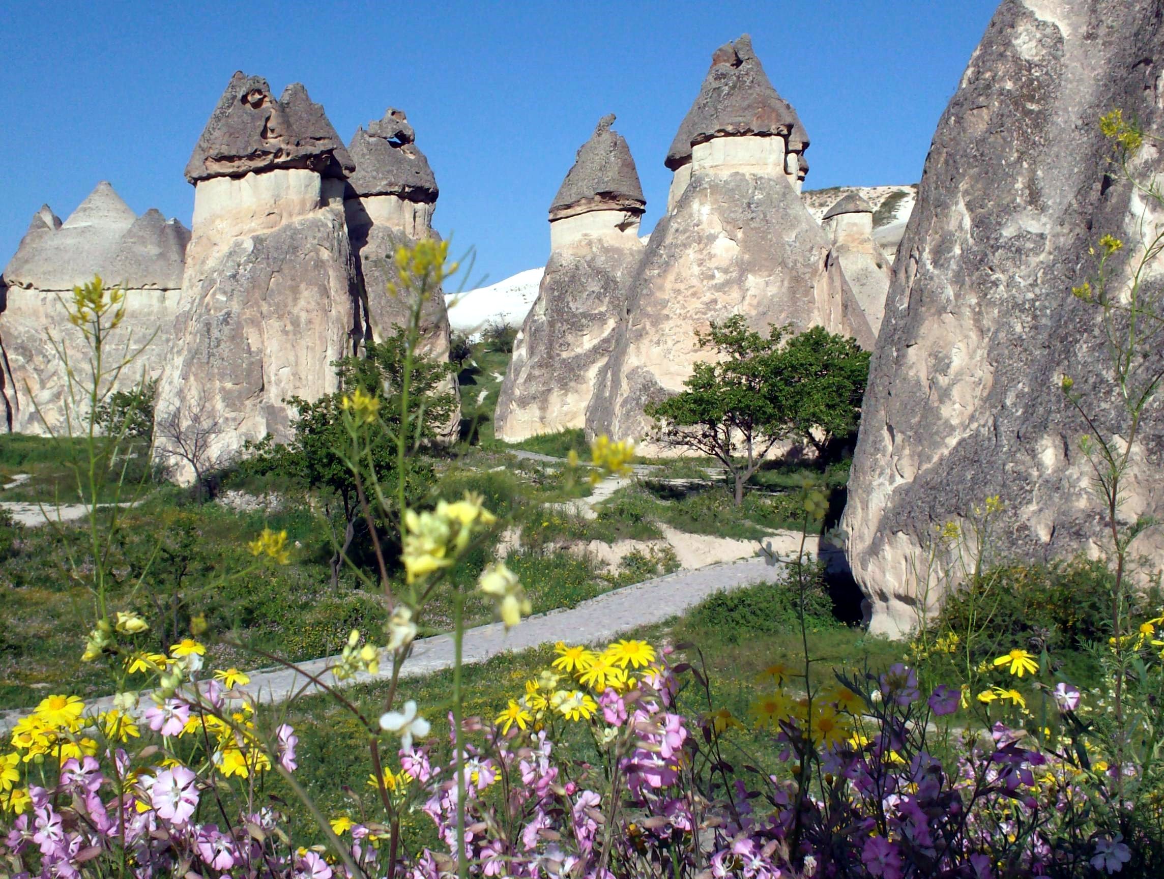 The fairy chimneys in the Göreme valley of the Cappadocia region are comprised of soft tuff rock that is sculpted by erosion and topped with a resistant layer of basalt, forming a mushroom-like cap on each column.
