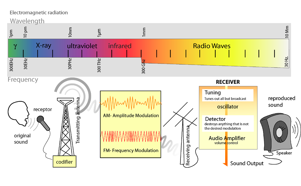 Radio waves have the largest wavelengths, up to 10 megameters (or 10,000,000 meters) and the smallest frequency of the waves in the electromagnetic spectrum.