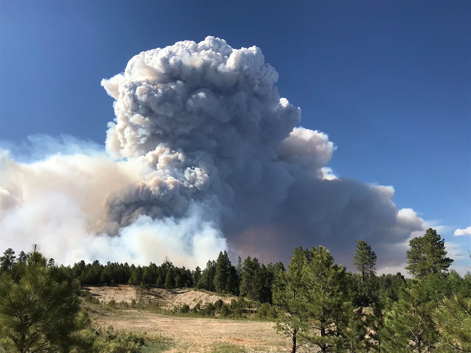 Wildfire smoke can travel hundreds of miles and affect the health of humans, animals, and plants.