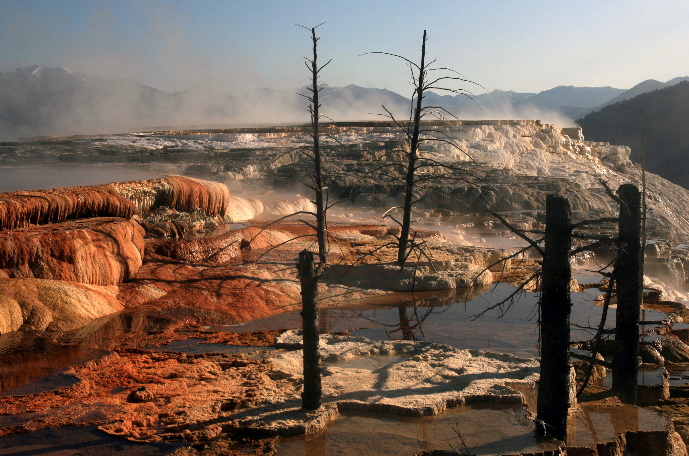 Mammoth Hot Springs, Yellowstone National Park